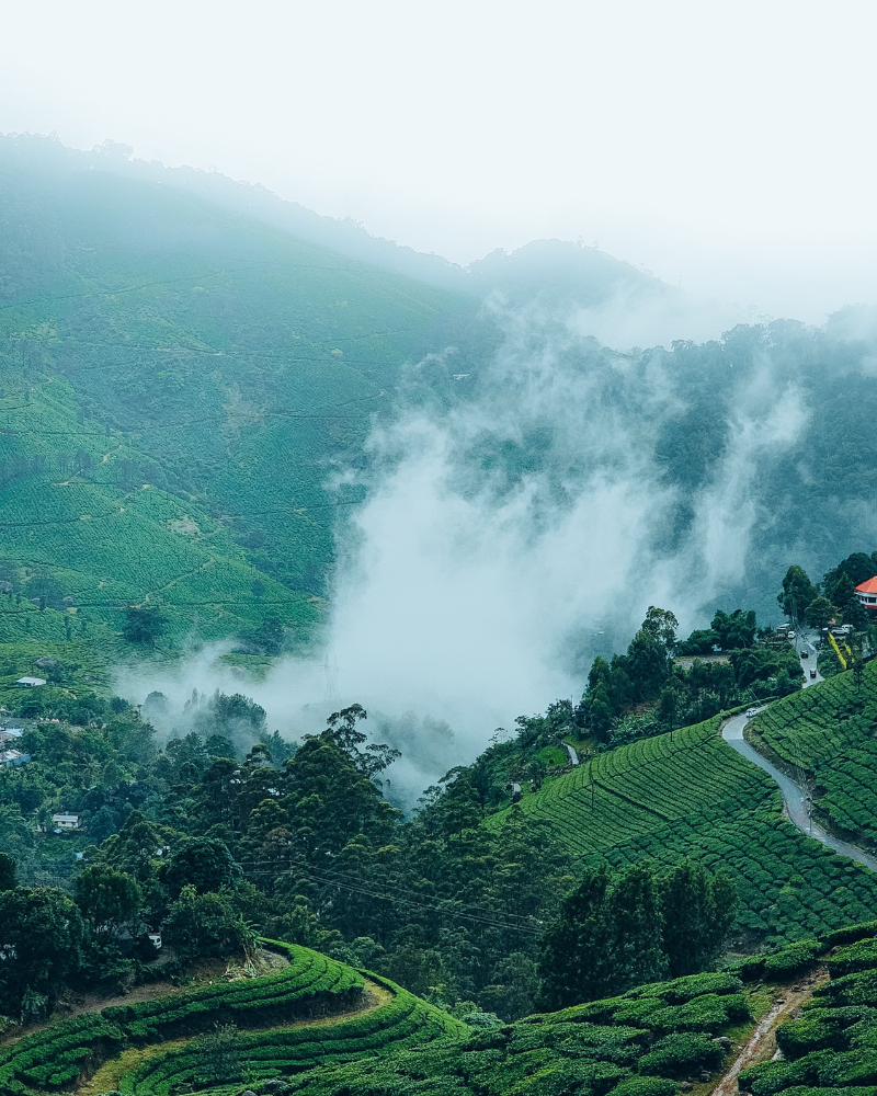 Darjeeling