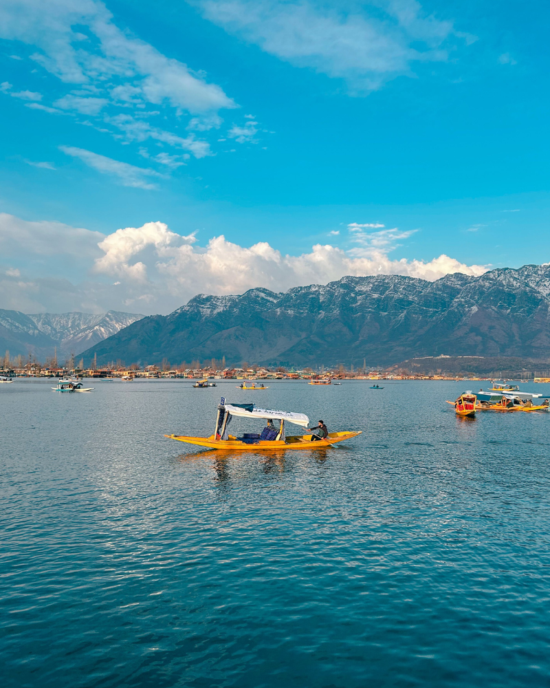 kashmir