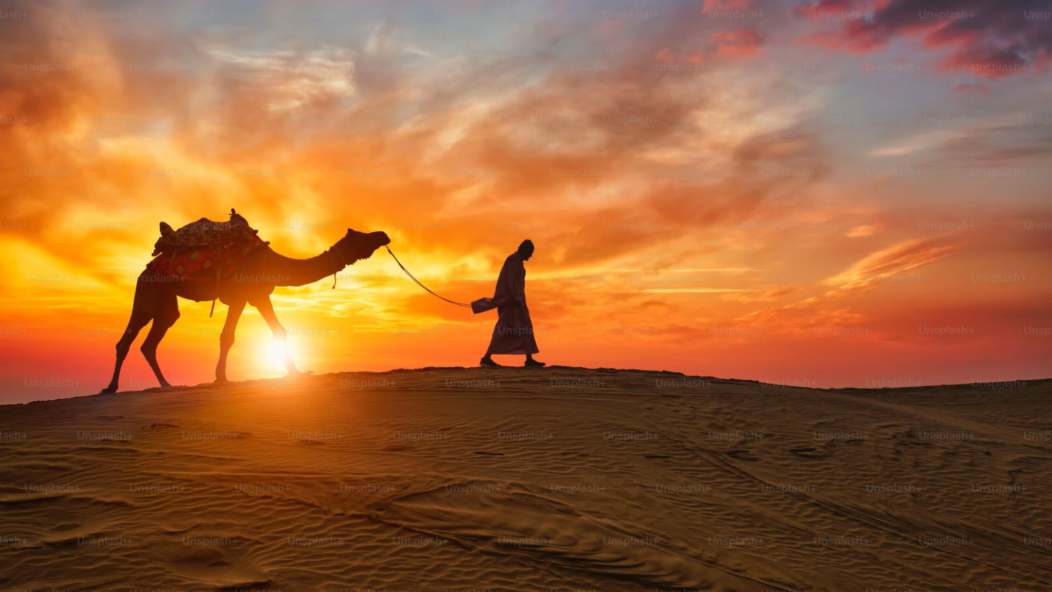 7 Days in Rajasthan