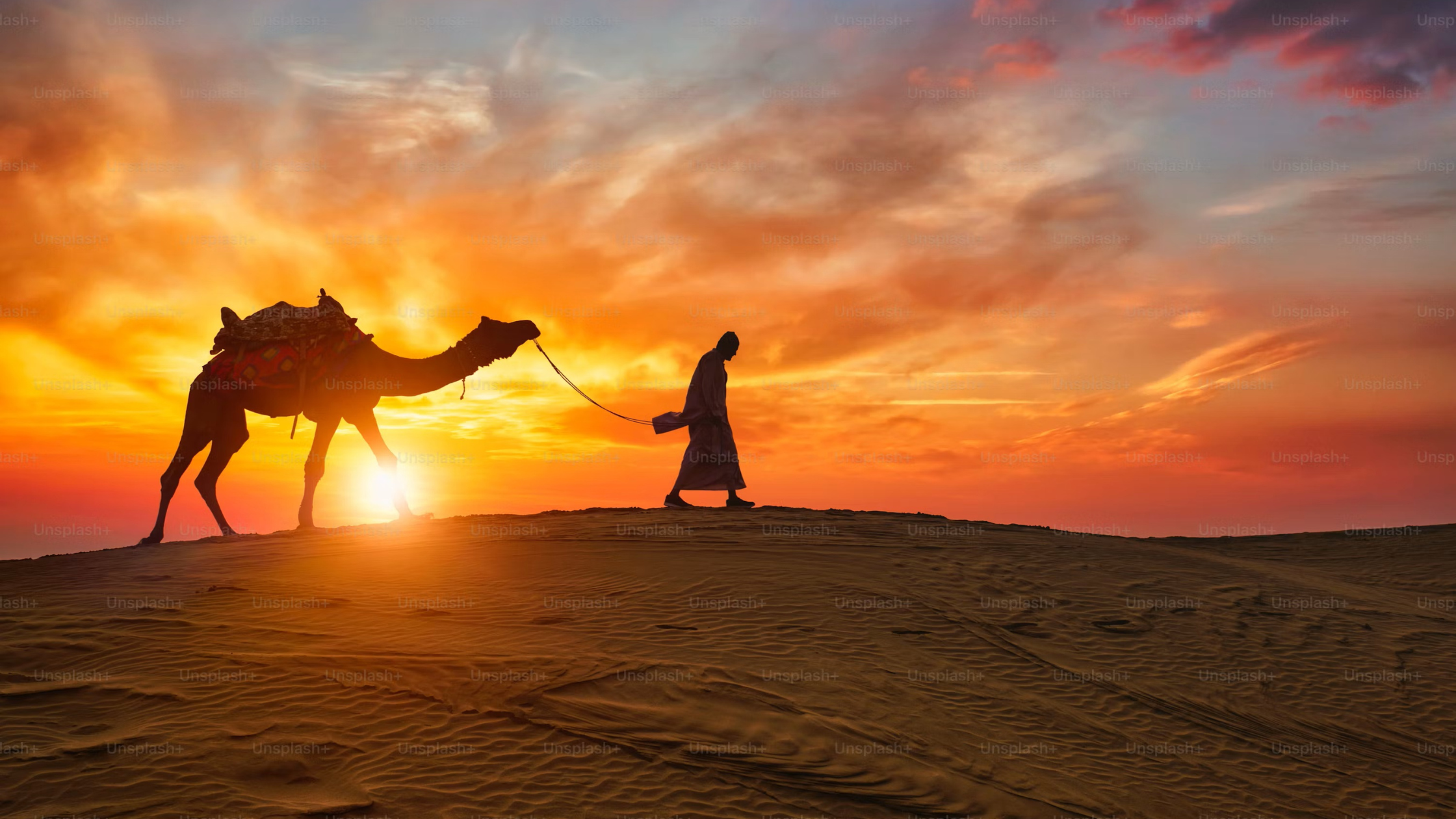 7 Days in Rajasthan